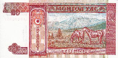 Beschrijving achterzijde: HORSE